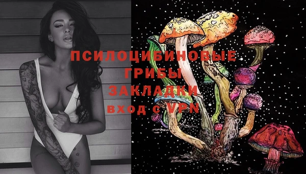 мет Сясьстрой